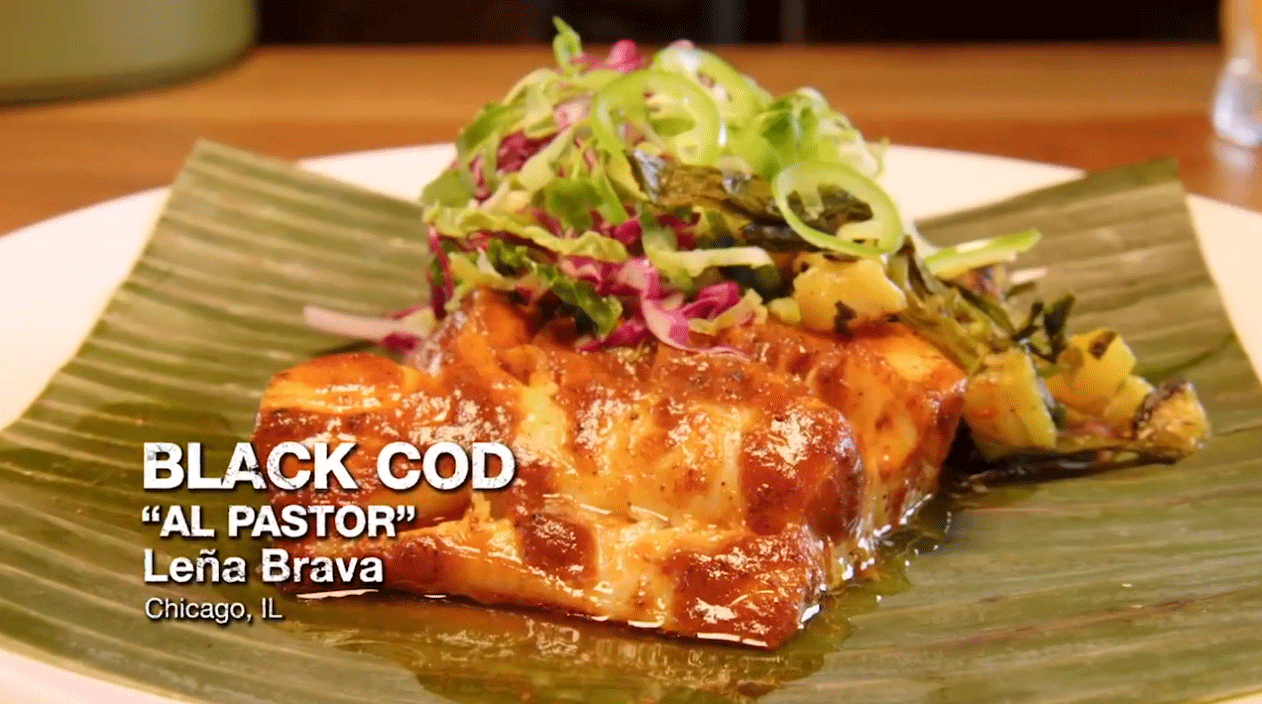 Black Cod 